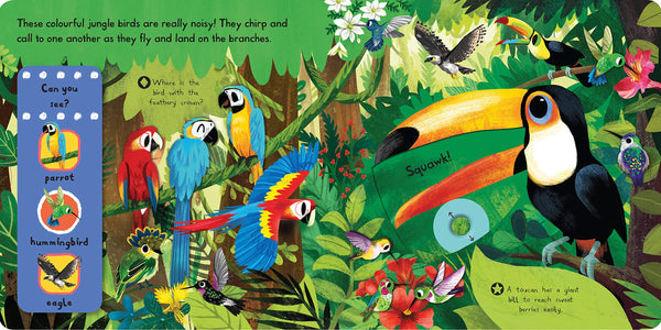 First Explorers: Beautiful Birds - Board Book