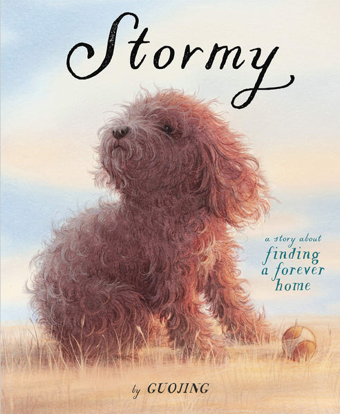 Stormy: A Story About Finding a Forever Home - Hardback