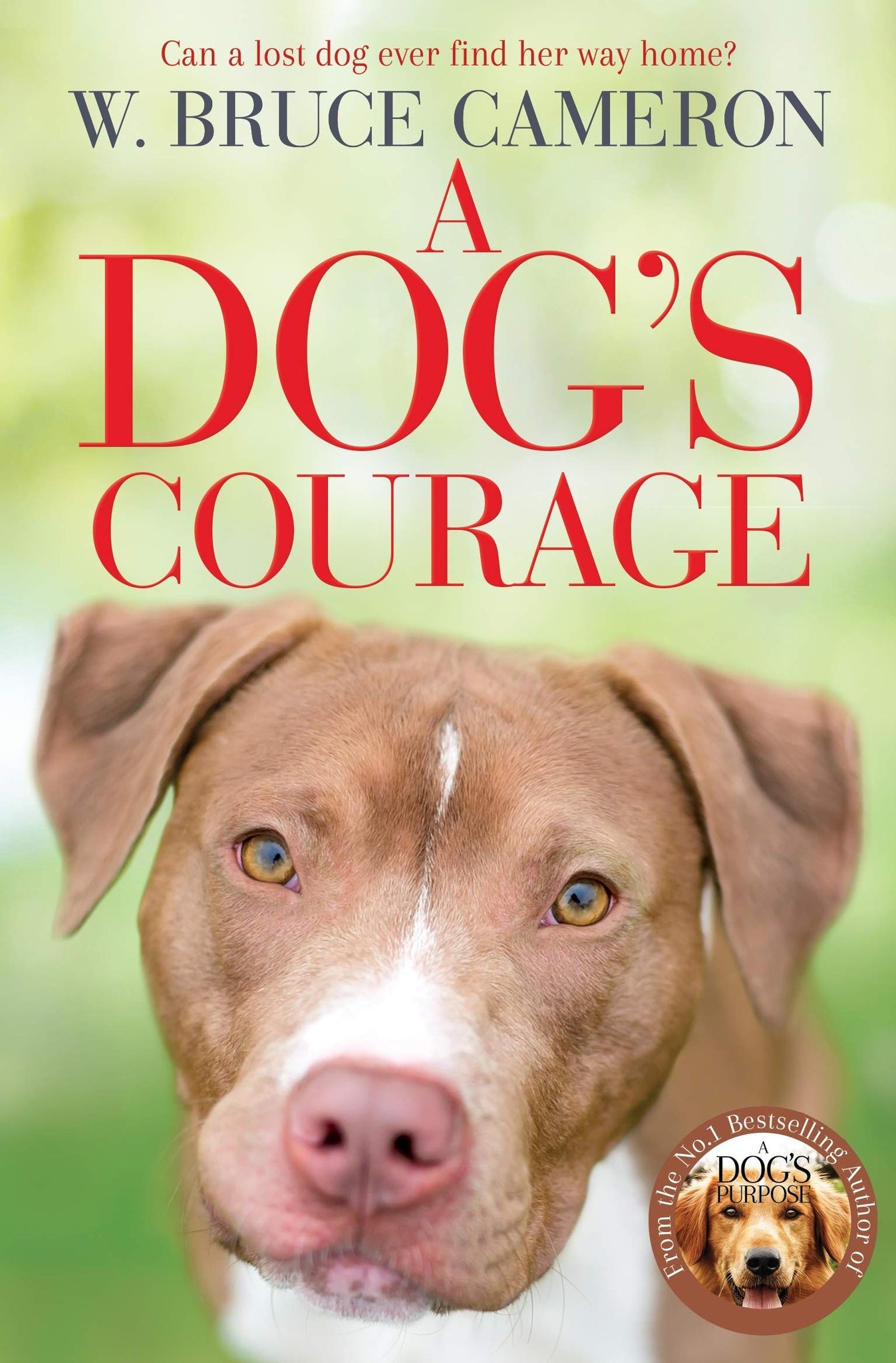 A Dog's Way Home # 2 : A Dog's Courage - Paperback