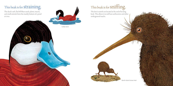 The Beak Book - Hardback