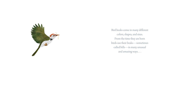 The Beak Book - Hardback