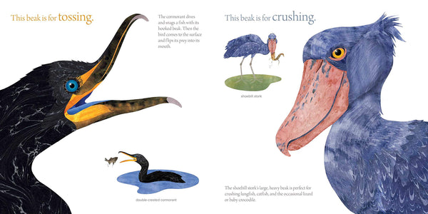 The Beak Book - Hardback