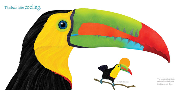 The Beak Book - Hardback