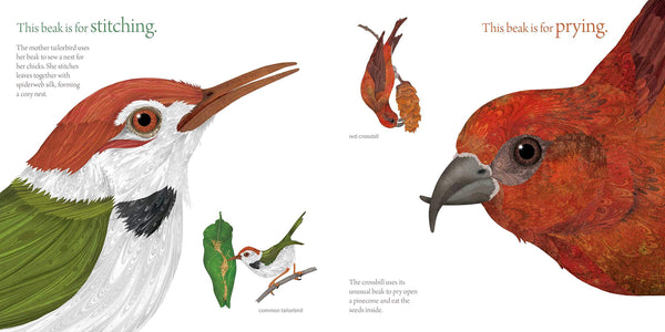 The Beak Book - Hardback