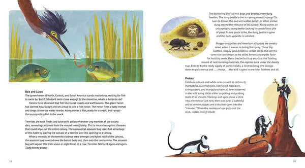 Orangutan Hats and Other Tools Animals Use - Hardback