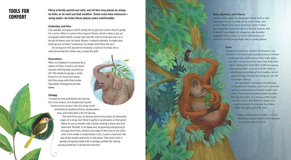 Orangutan Hats and Other Tools Animals Use - Hardback