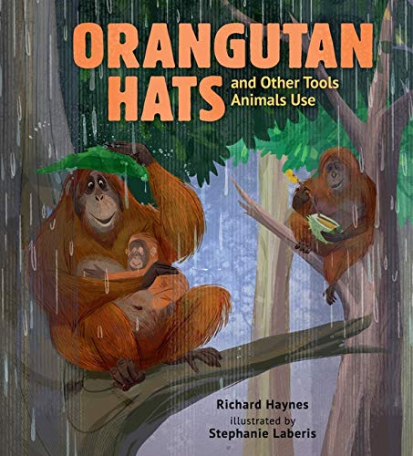 Orangutan Hats and Other Tools Animals Use - Hardback