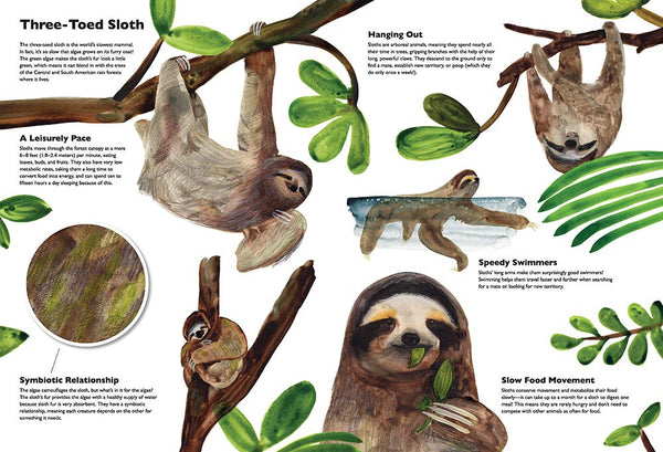 Masters of Disguise: Camouflaging Creatures & Magnificent Mimics - Hardback