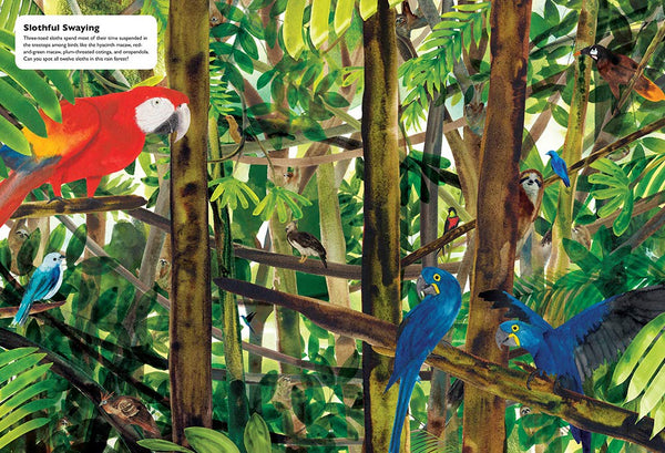 Masters of Disguise: Camouflaging Creatures & Magnificent Mimics - Hardback