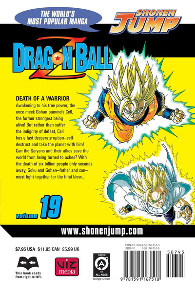 Dragon Ball Z : Death of a Warrior #19 - Paperback