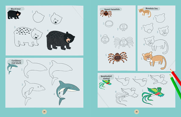 A World of Animals: Learn to draw more than 175 animals from the seven continents! - Paperback