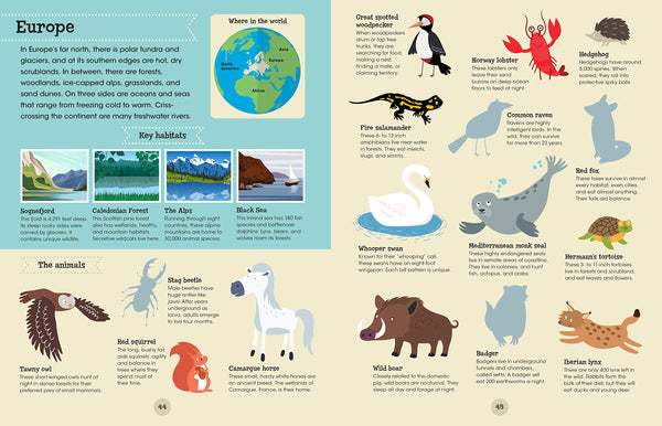 A World of Animals: Learn to draw more than 175 animals from the seven continents! - Paperback