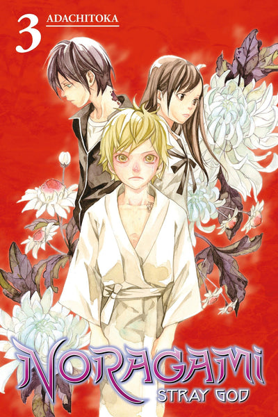 Noragami: Stray God #3 - Paperback