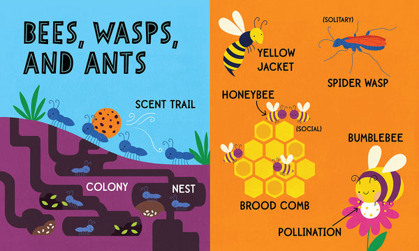 My First 100 Words : Bug - Board Book