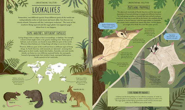 Amazing Evolution : The Journey of Life - Hardback - Kool Skool The Bookstore