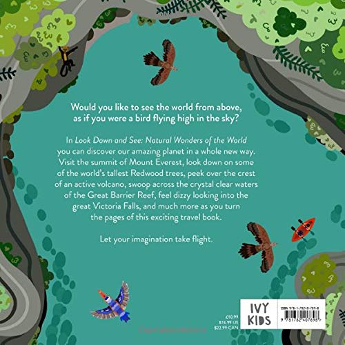 Look Down and See : Natural Wonders of the World - Hardback