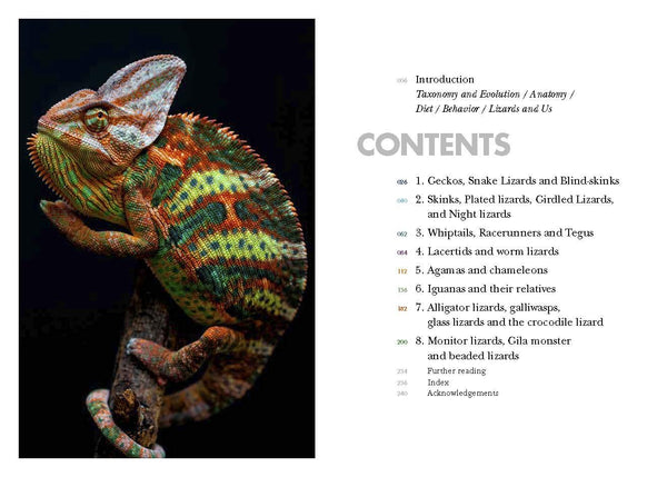 Lizards of the World : A Natural History Guide - Hardback
