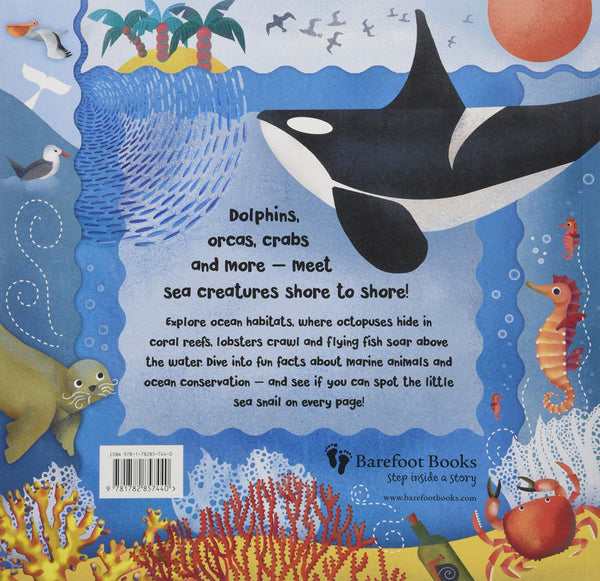 Home for a Penguin, Home for a Whale - Paperback - Kool Skool The Bookstore