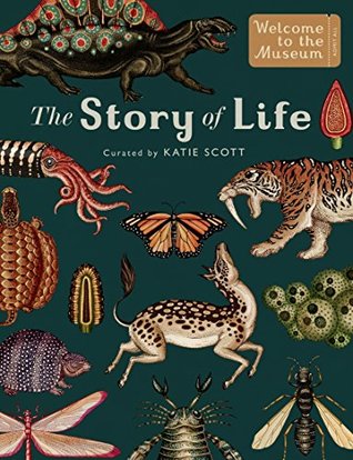 STORY OF LIFE EVOLUTION - Kool Skool The Bookstore