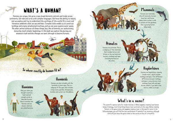 When We Became Humans : The Story of Our Evolution - Hardback