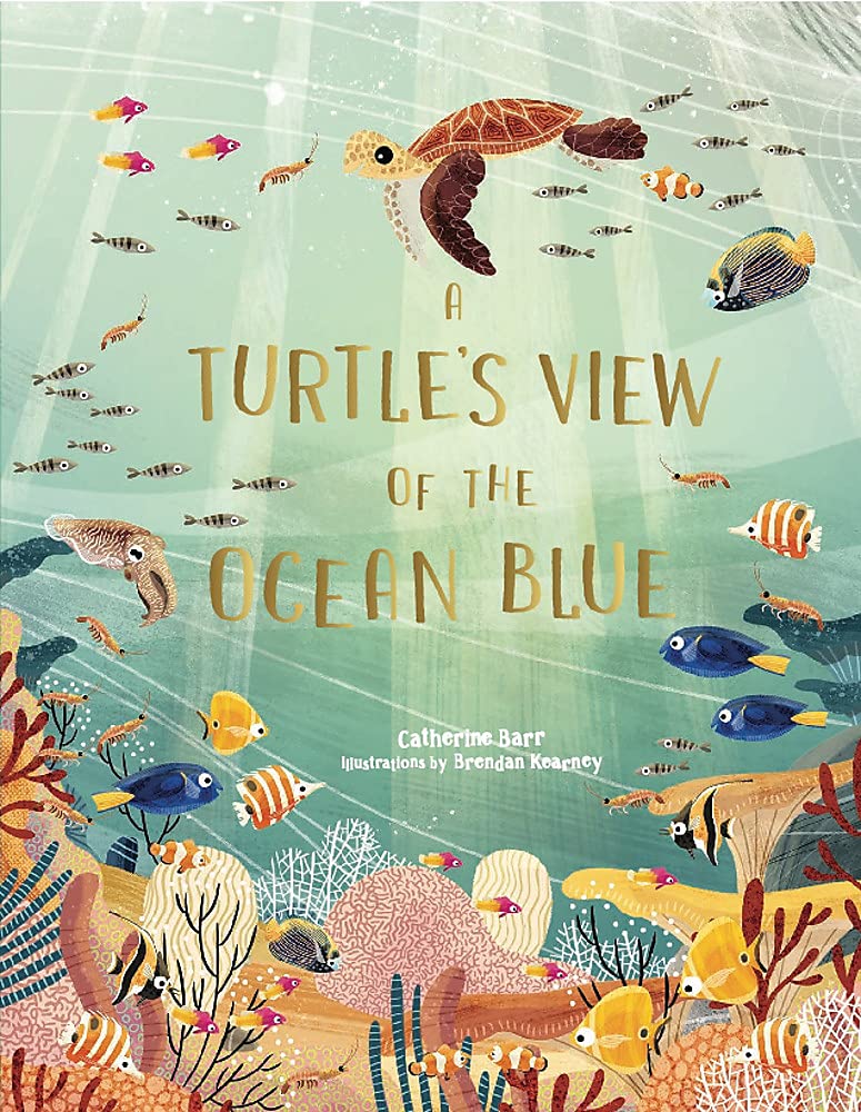 A Turtle's View of the Ocean Blue - Hardback