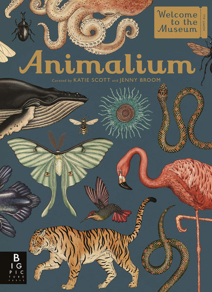 Welcome to the Museum : Animalium - Hardback