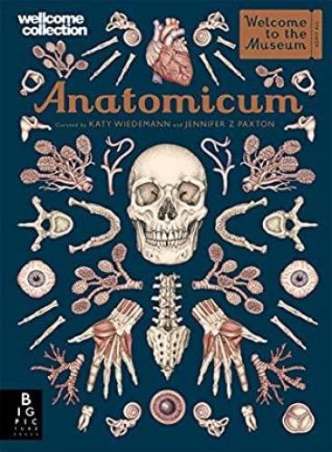 Anatomicum (Welcome To The Museum) - Kool Skool The Bookstore