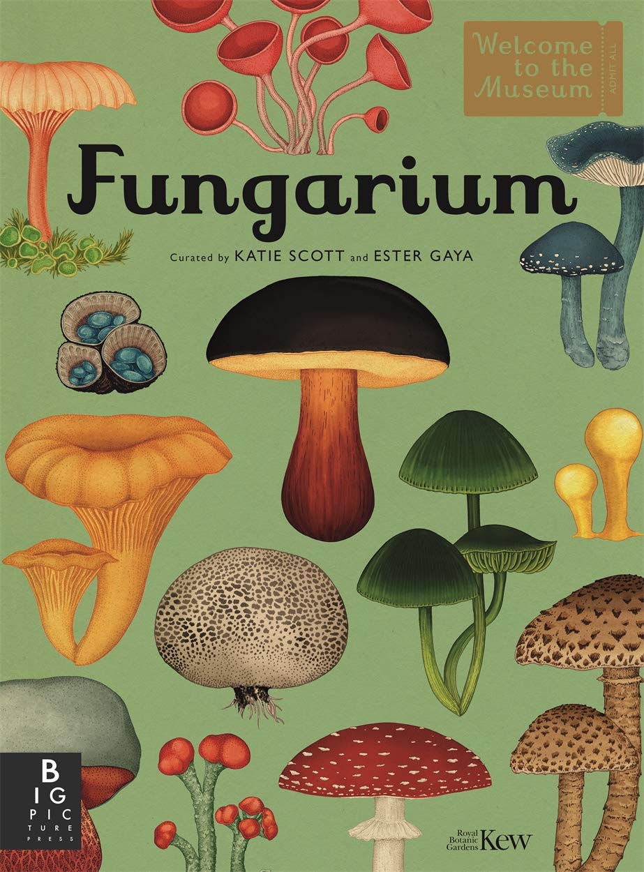 Welcome to the Museum : Fungarium - Hardback