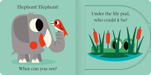 Elephant, Elephant What Can You See? - Board Book