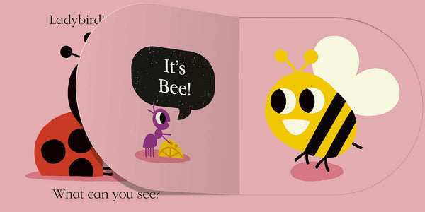 Ladybird! Ladybird! What Can You See? - Board Book