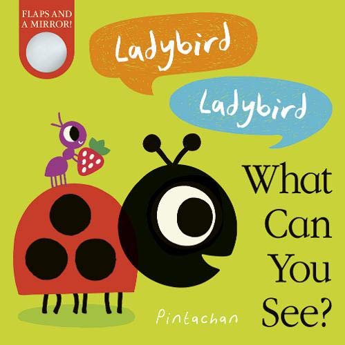 Ladybird! Ladybird! What Can You See? - Board Book