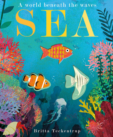 A World Beneath the Waves : Sea - Board Book