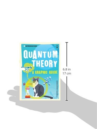 Introducing Quantum Theory: A Graphic Guide to Science's Most Puzzling Discovery - Paperback - Kool Skool The Bookstore