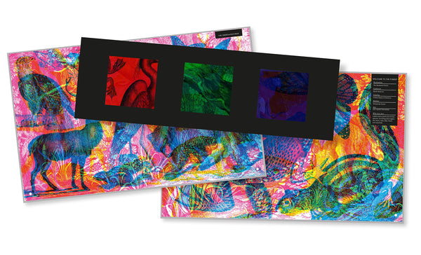 Illuminature - Hardback