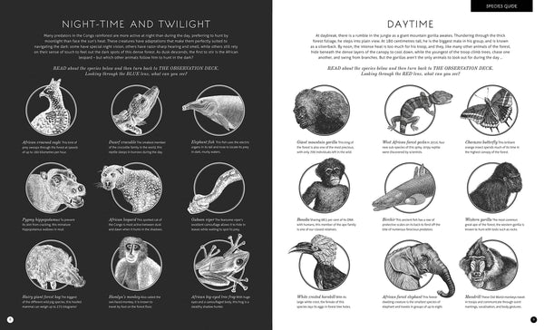 Illuminature - Hardback