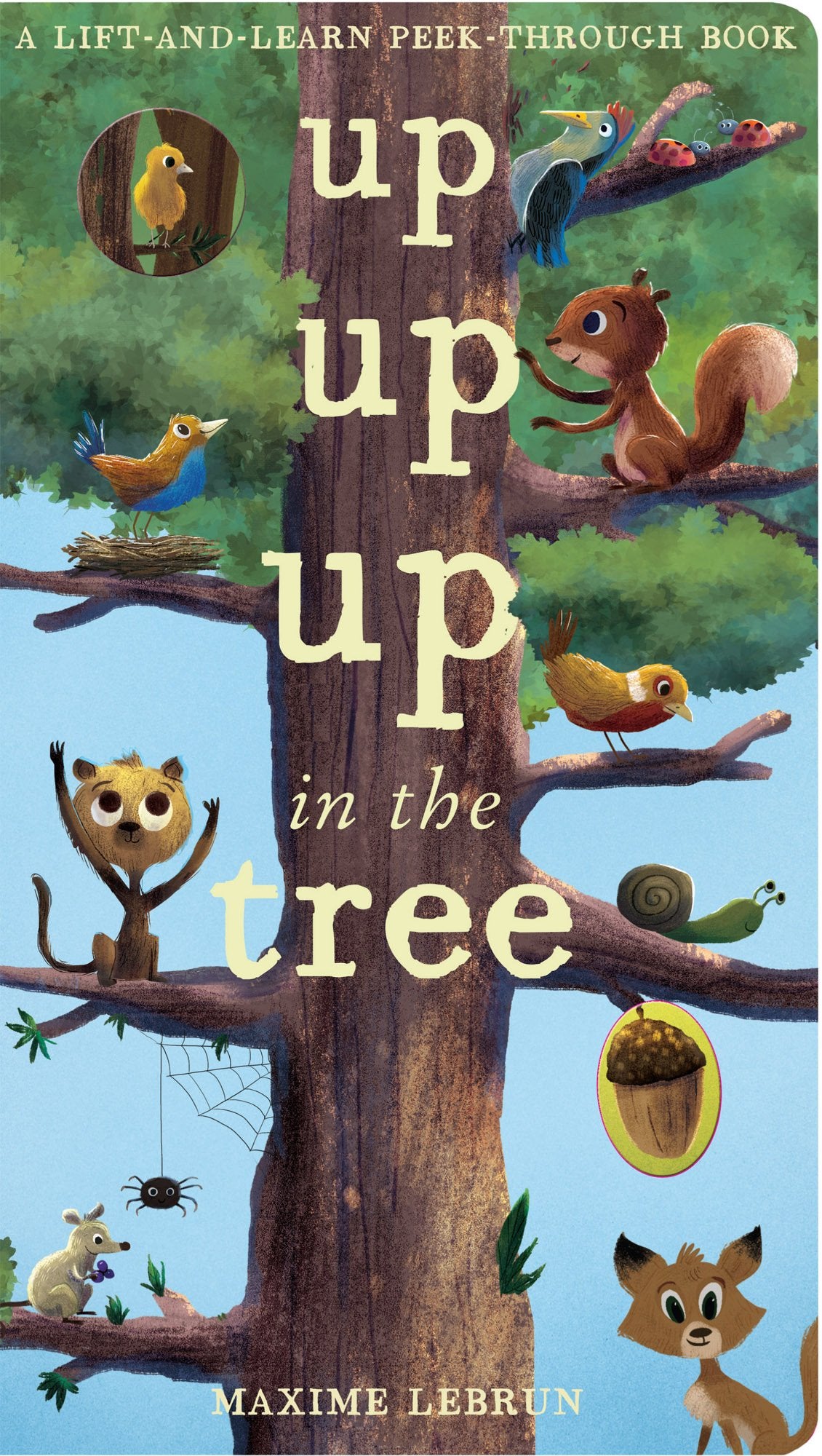 Up Up Up in the Tree - Hardback