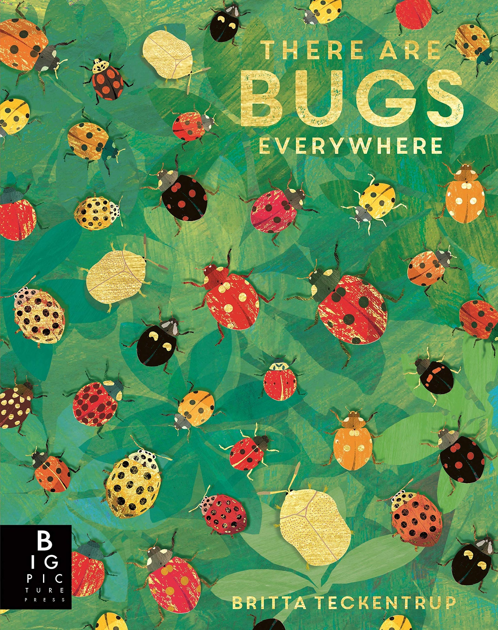 There are Bugs Everywhere - Hardback