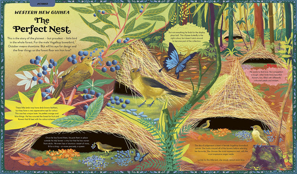 What Are You Doing Today, Mother Nature? - Hardback