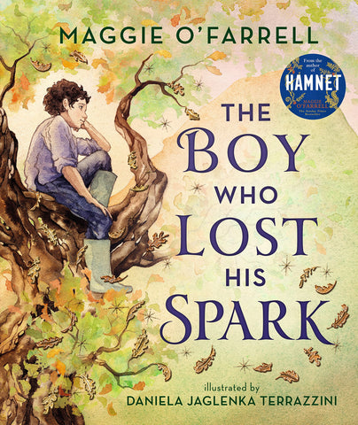 The Boy Who Lost His Spark - Hardback