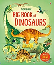 Usborne Big Book of Dinosaurs - Kool Skool The Bookstore