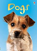 Usborne  :  Dogs - Kool Skool The Bookstore