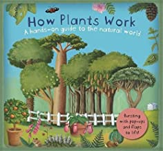 How Plants Work - Kool Skool The Bookstore