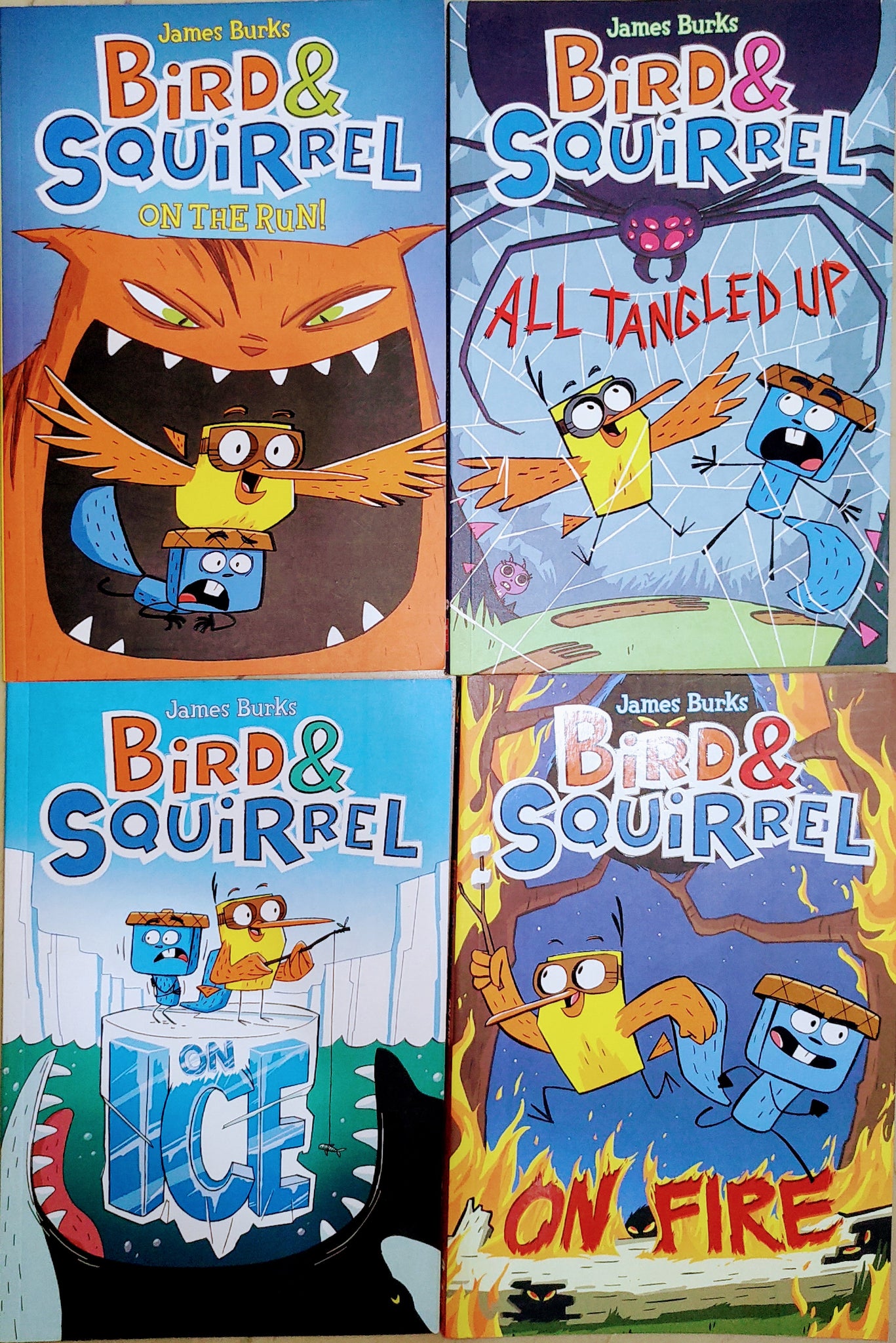 Birds And Squirrel Collection Set Of 4 Books - Paperback
