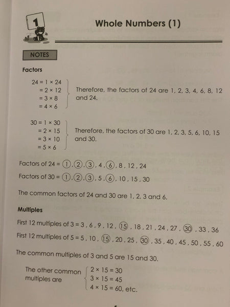 SAP Maths Problem Solving Strategies Workbook Primary Level 4 - Paperback - Kool Skool The Bookstore