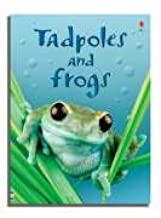 Usborne : Tadpoles & Frogs - Kool Skool The Bookstore